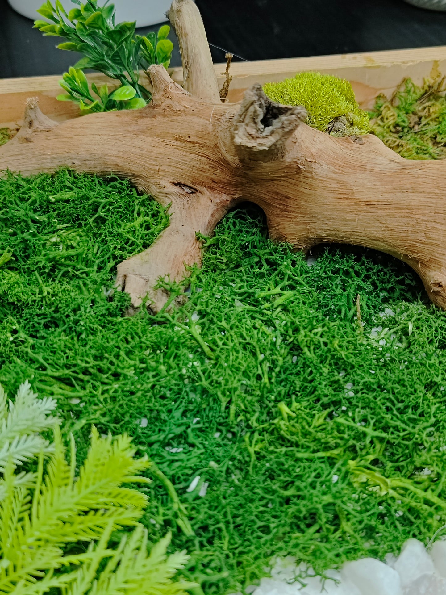 Green Mirage – 100% Artificial Moss & Driftwood Craft 12"/12"
