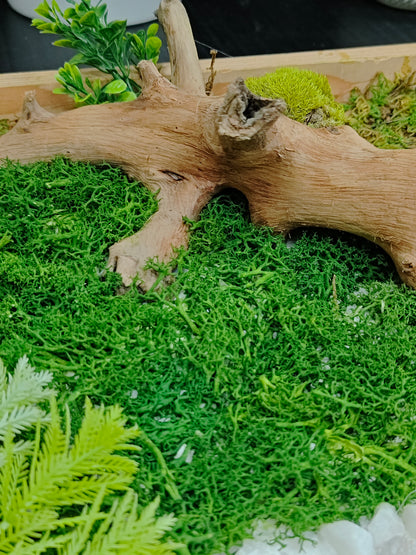 Green Mirage – 100% Artificial Moss & Driftwood Craft 12"/12"
