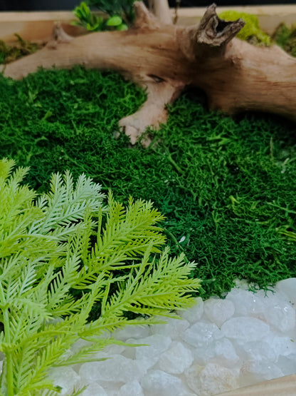 Green Mirage – 100% Artificial Moss & Driftwood Craft 12"/12"