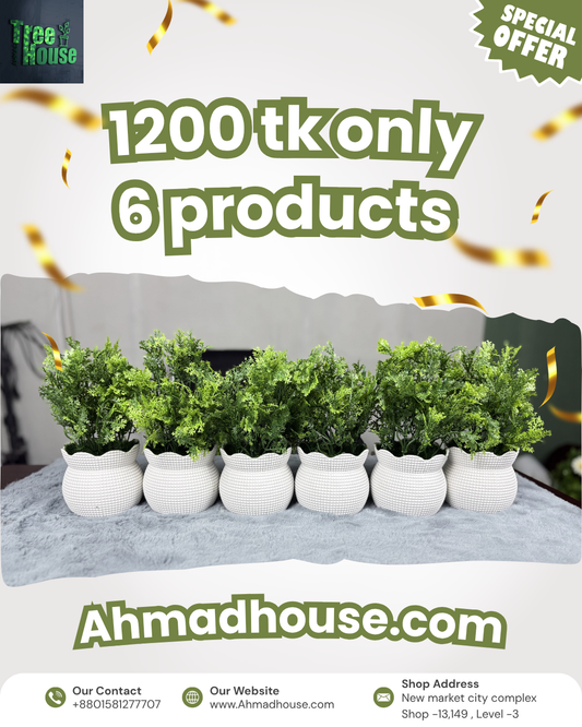 6-Piece Ultimate Bundle Deal | Only 1200 TK – Order Now or Never!