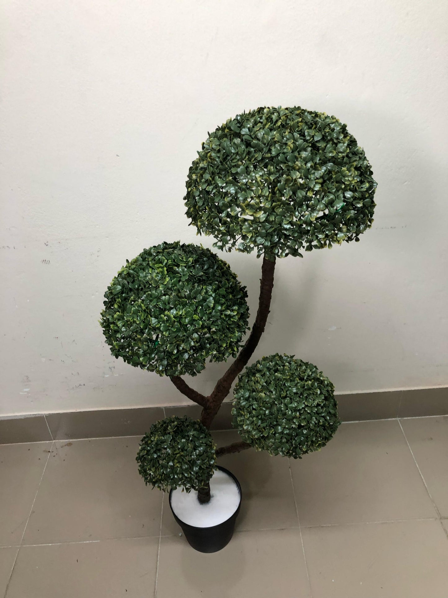 ATH-4FT-Topiary-Tree-Bonsai-001