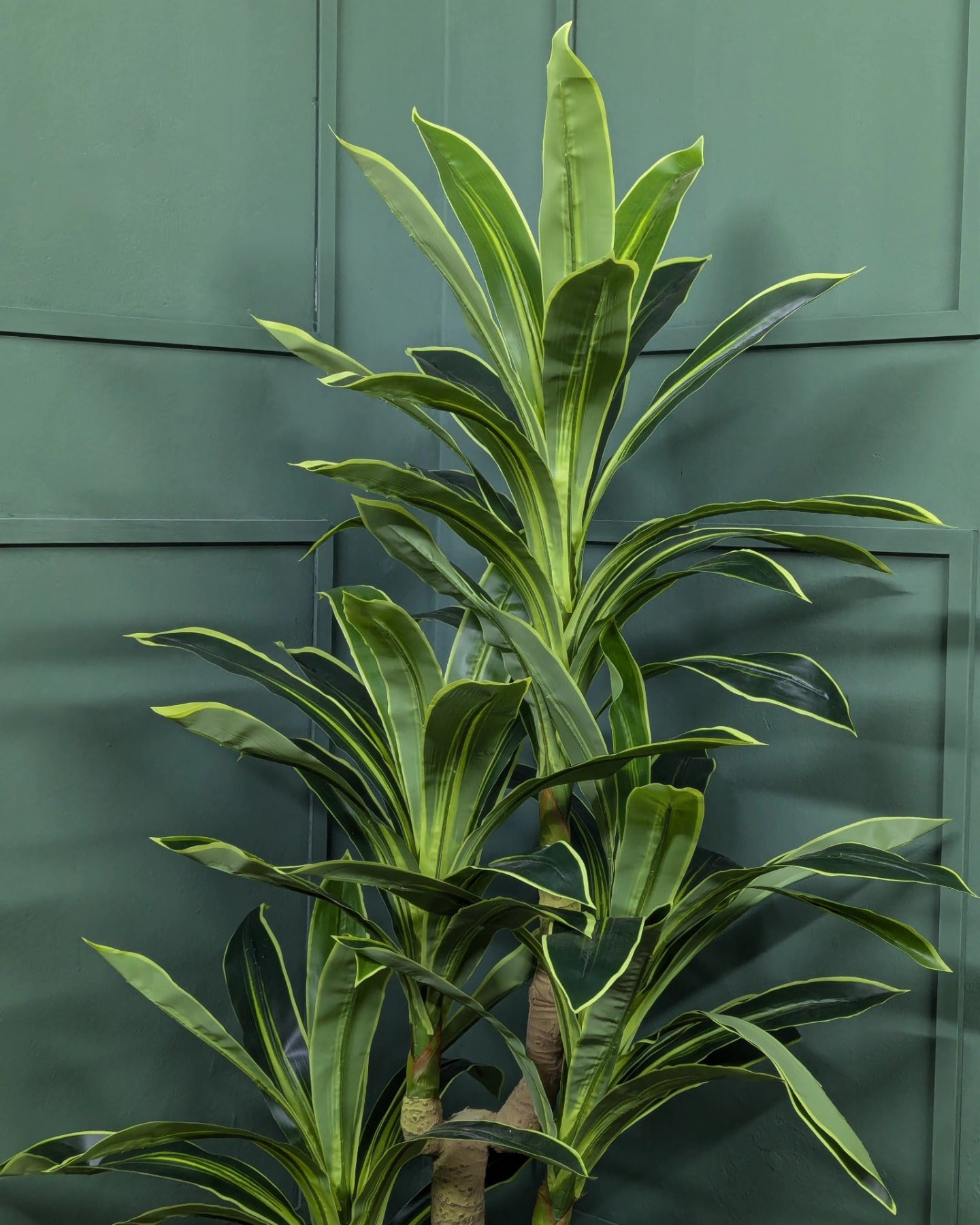 Premium Artificial Dracaena Fragrans Tree
