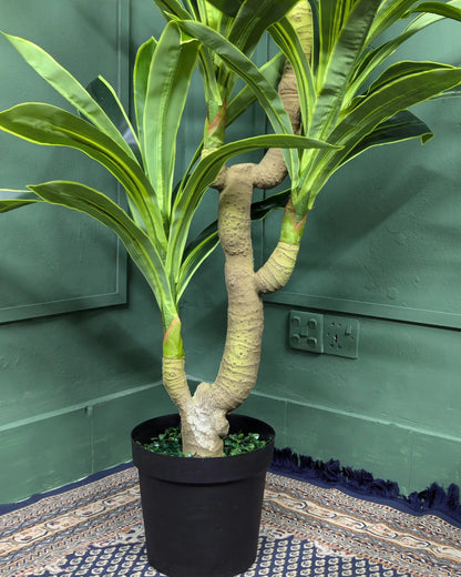 Premium Artificial Dracaena Fragrans Tree