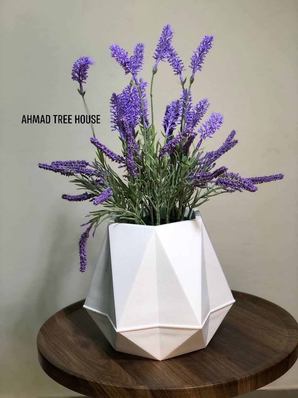 ATH - Lavender in Premium Fiber Pot