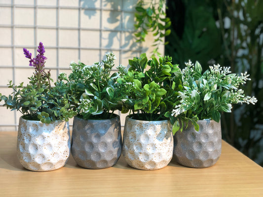 🌿 4 PCS Small Artificial Plants Combo – Only 1050 TK!