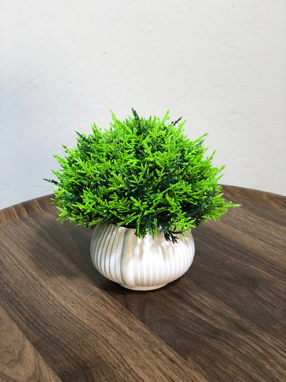 ATH – Miniature Artificial Bonsai Tree, Plastic Pot, Office Desk Greenery Decoration 212