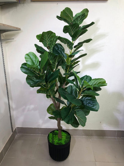 Signature Fiddle Leaf Fig with Decorative Black Fluted Pot