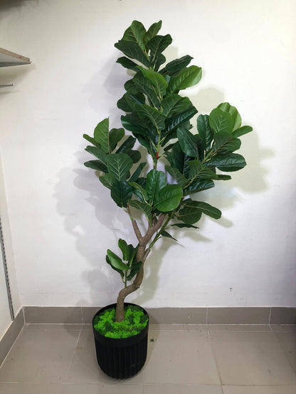 Signature Fiddle Leaf Fig with Decorative Black Fluted Pot