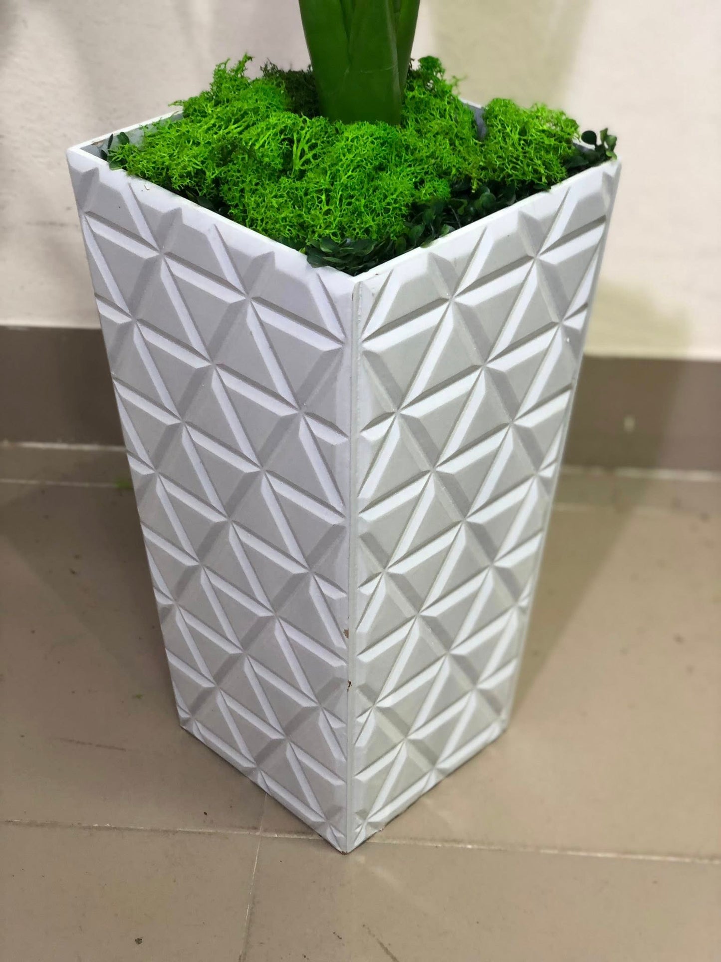 Monstera with Woden planter
