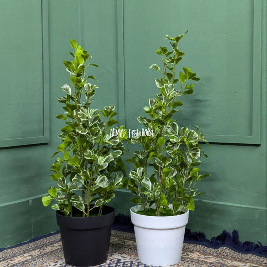 Artificial Ficus Tineke