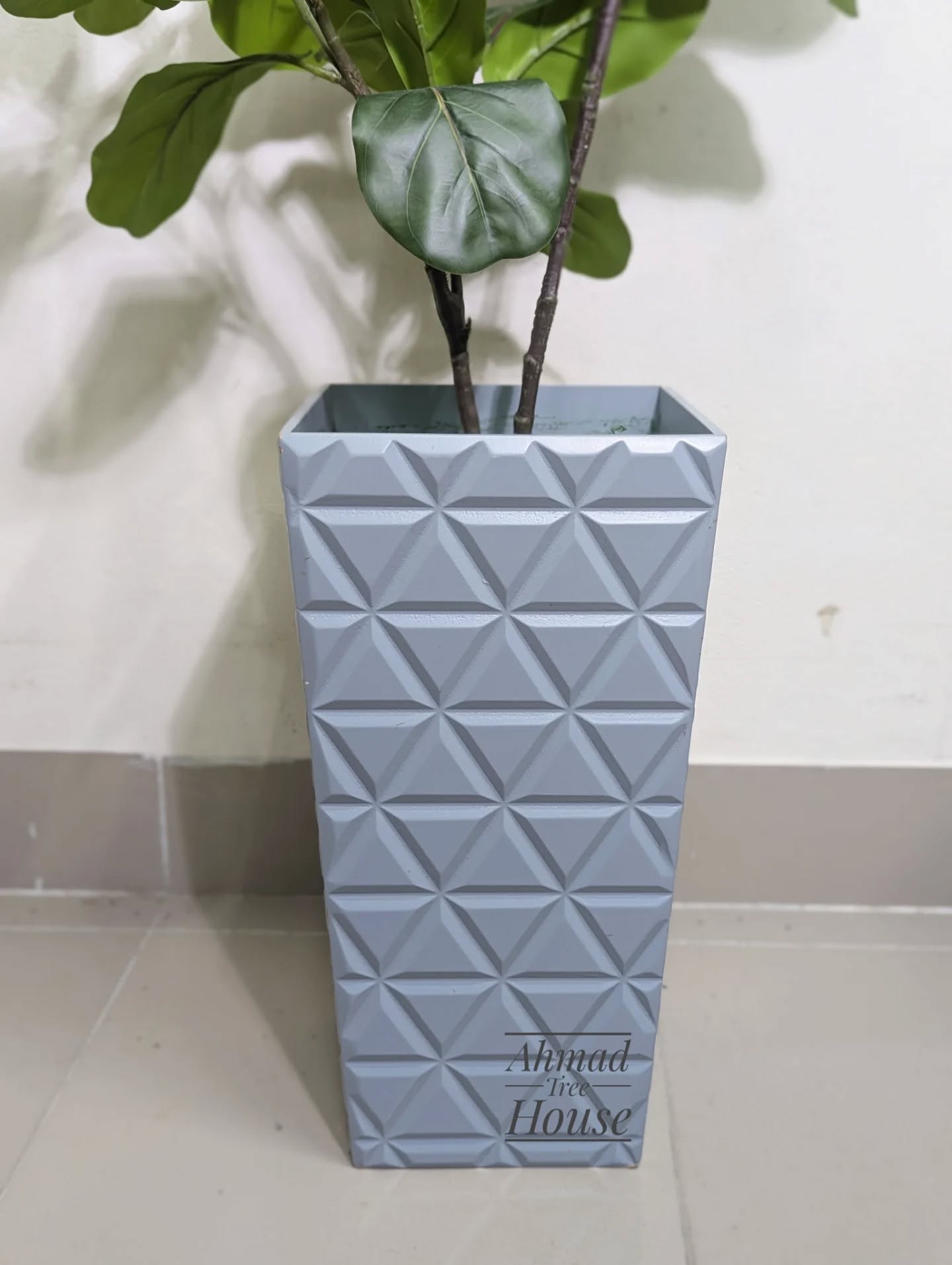 Fiddle leaf with ash wooden planter