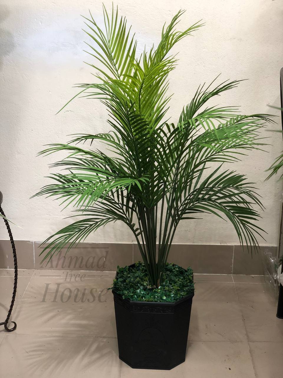 Mini Areca Palm Decor Plant – Elegant Premium Planter