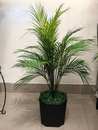 Mini Areca Palm Decor Plant – Elegant Premium Planter