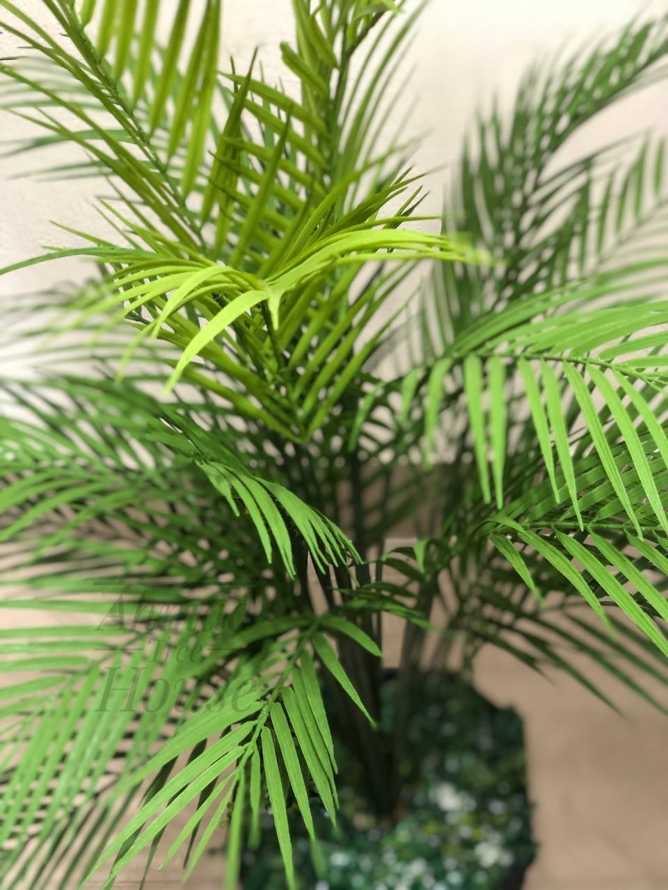 Mini Areca Palm Decor Plant – Elegant Premium Planter