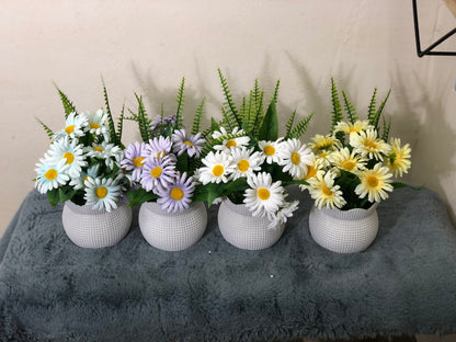 Premium 4-Color Flower Combo with White Tubs – Limited Offer @ 1050 TK