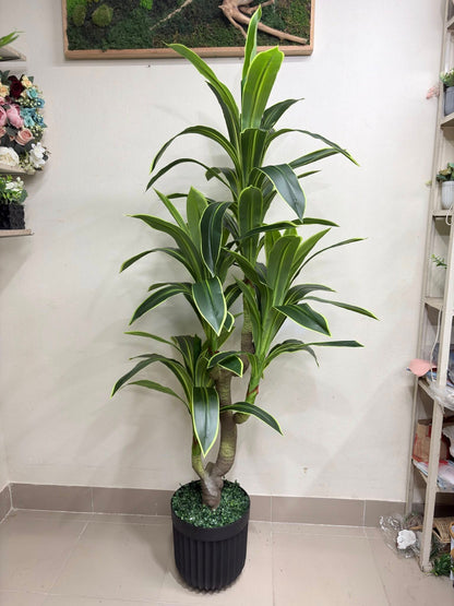 Artificial Spider Plant (4 Heads) – Fresh Green Decor