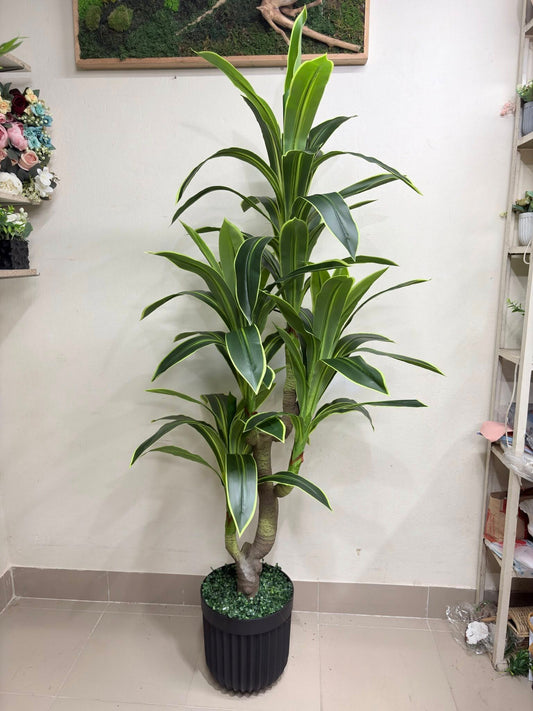 Artificial Spider Plant (4 Heads) – Fresh Green Decor