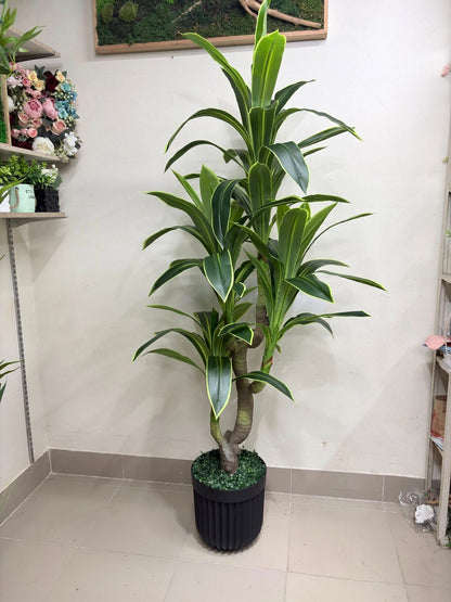 Artificial Spider Plant (4 Heads) – Fresh Green Decor