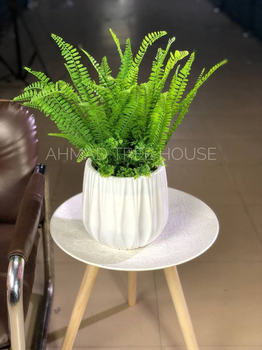 Pure Fern Bliss White Pot Set