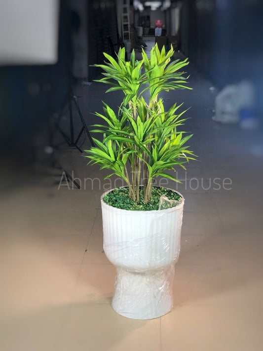 Modern Green Spider Plant in Big Pot