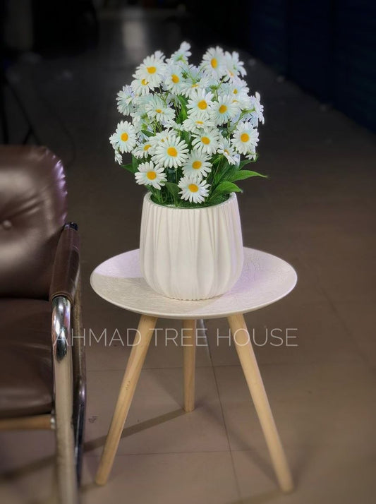 Daisy Grace in White Pot