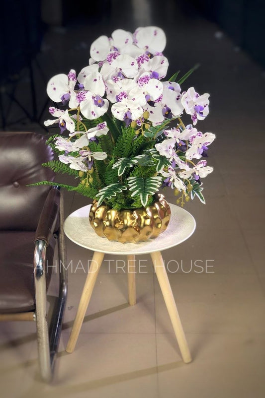 Golden Orchid Bloom