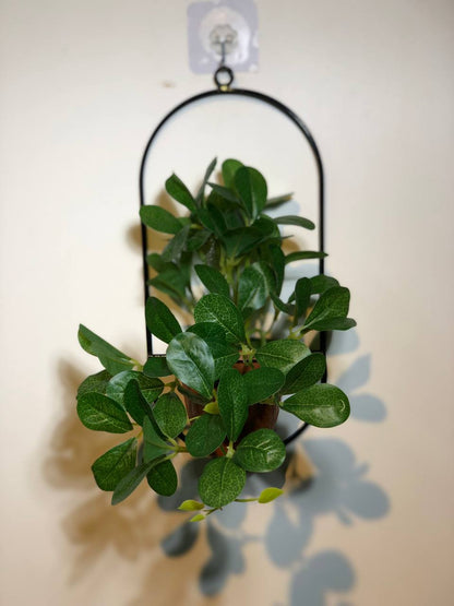 Artificial walk hanging with metal frame