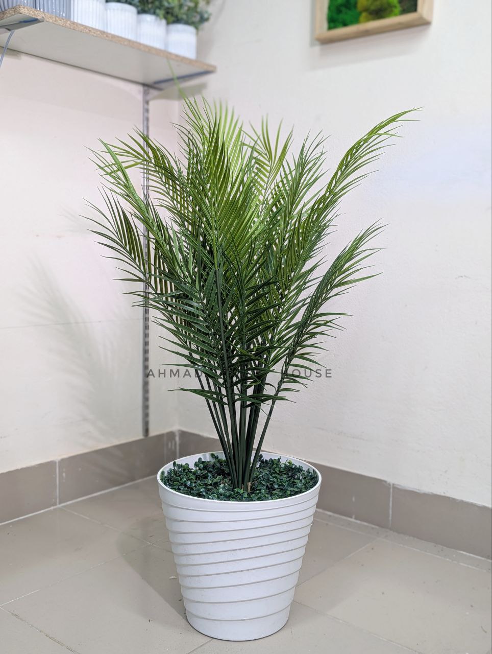 🌿 Bring Nature Home with Our Artificial Areca Plant