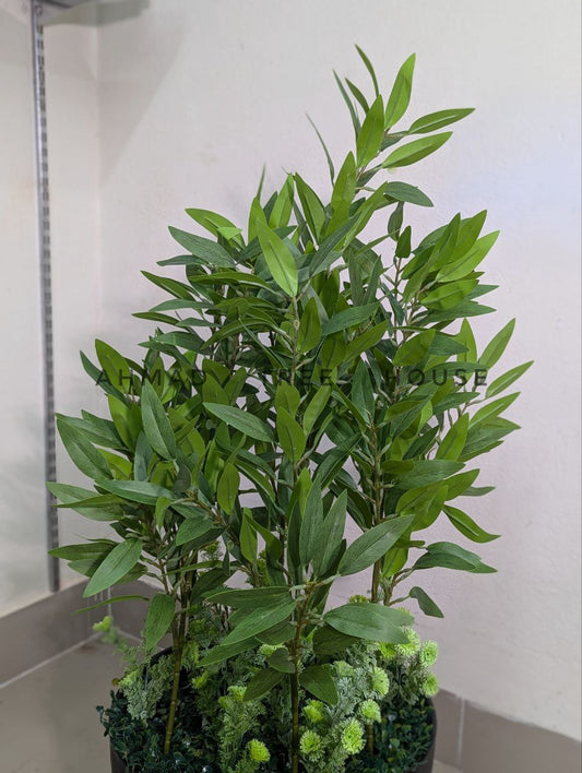 Artificial Olive / Eucalyptus / Bay Tree with Black Textured Planter