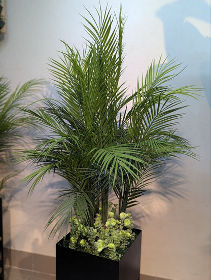 Areca Palm with Laser-Cut Metal Planter