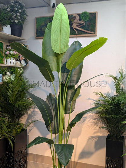 Bird of Paradise with Large White Egg-Shaped Planter