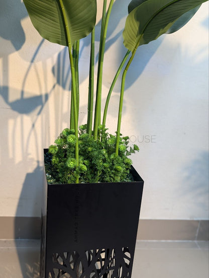 Bird of Paradise with Laser-Cut Metal Planter