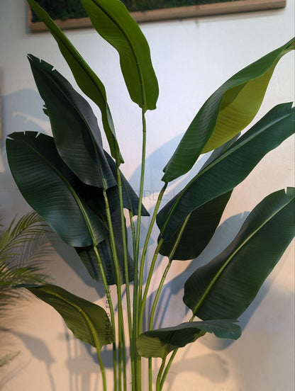 Bird of Paradise with Laser-Cut Metal Planter