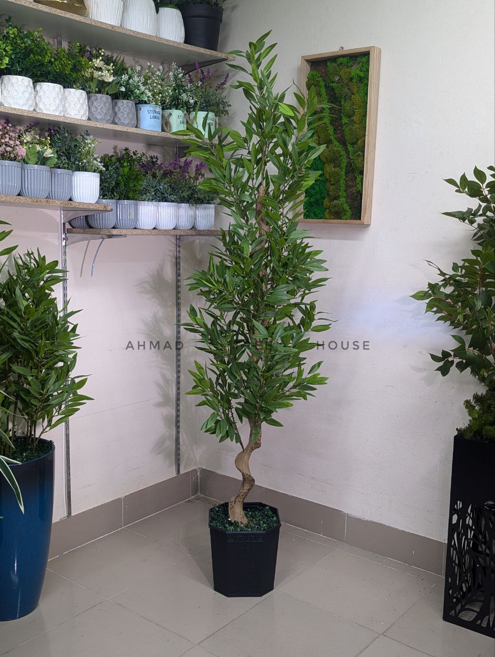 6 Feet Artificial Olive Tree with Black Planter