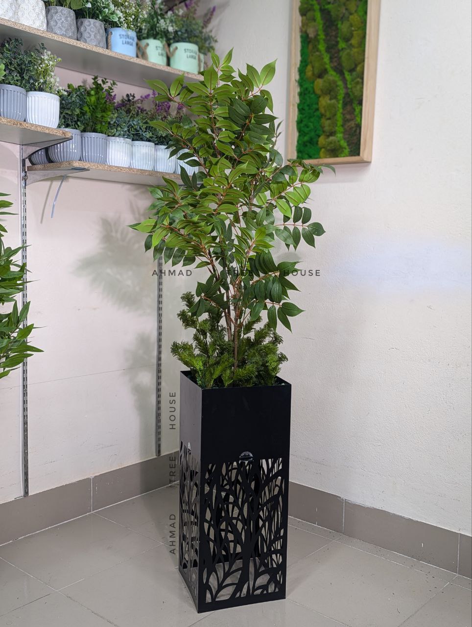 Toona Sinensis with Laser-Cut Metal Planter