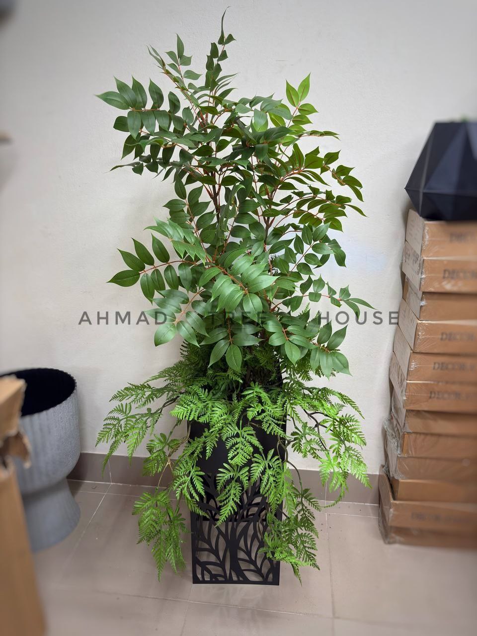 Fishtail Palm (Caryota mitis) with Laser-Cut Metal Planter