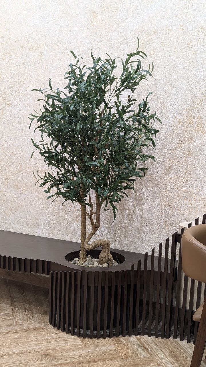Café Dining Area Greenery