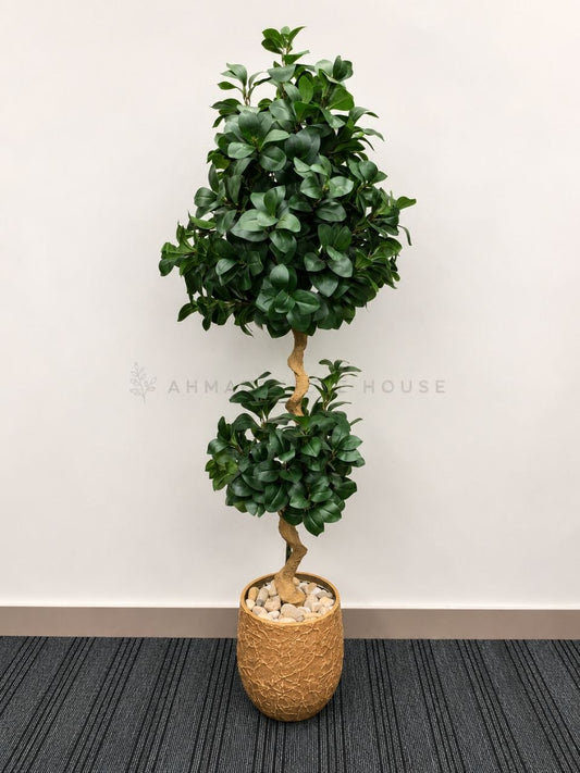 Artificial Ficus Topiary Floor Plant with Textured Planter | 6 Feet Premium Decor – Ahmad Tree House