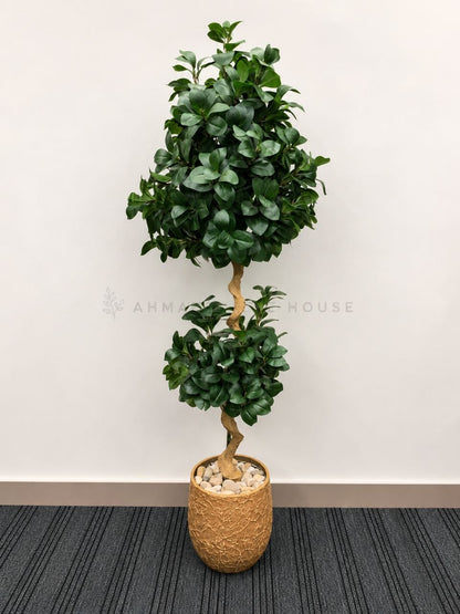 Artificial Ficus Topiary Floor Plant with Textured Planter | 6 Feet Premium Decor – Ahmad Tree House