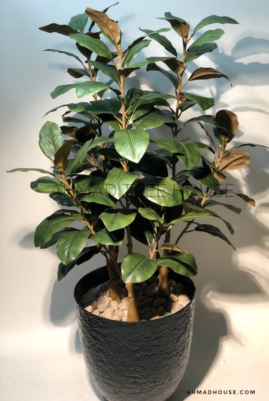 Artificial Magnolia Plant with Black Textured Planter | Premium Home & Office Decor – Ahmad Tree House