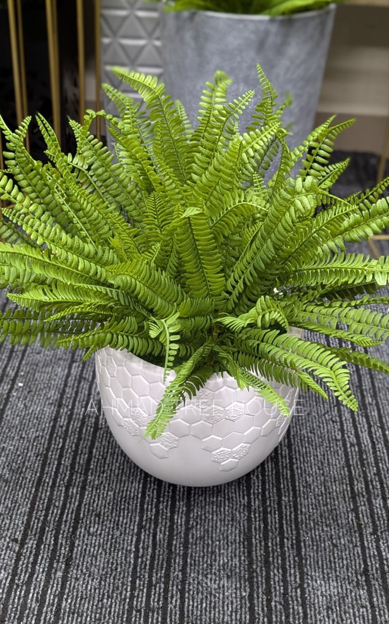 Artificial Boston Fern with White Honeycomb Pot | Premium Table & Floor Decor – Ahmad Tree House