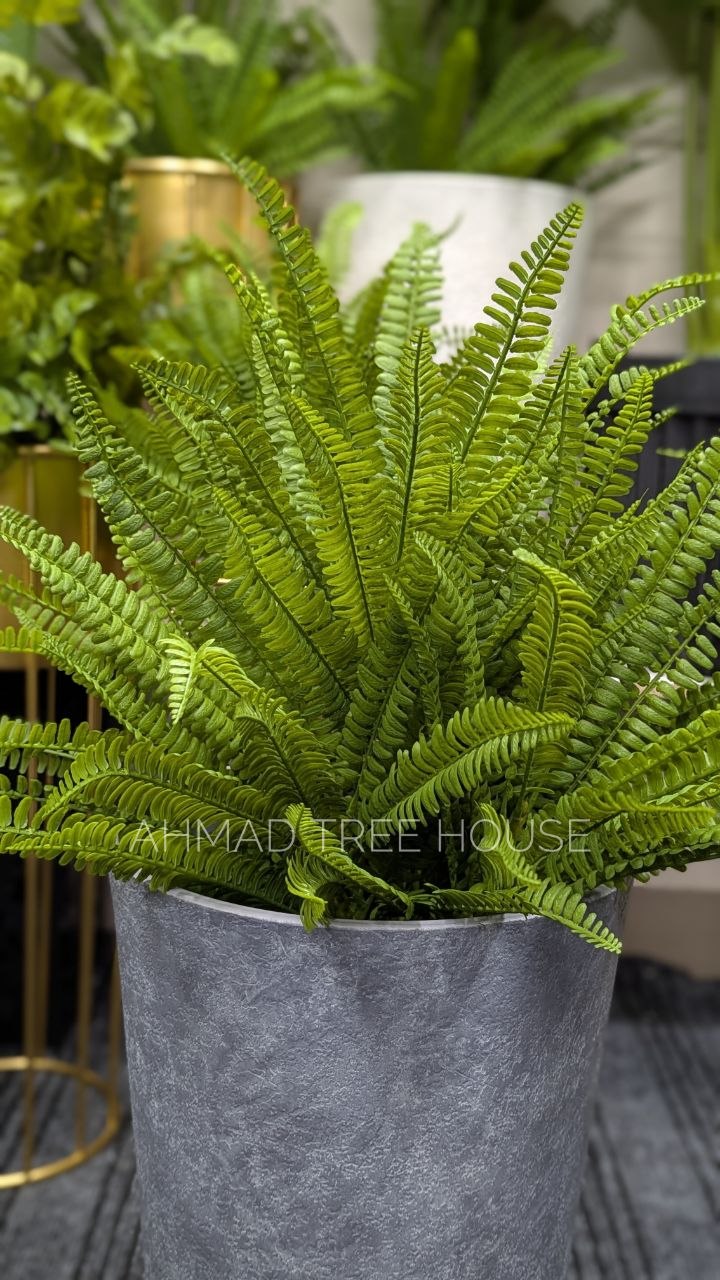 Artificial Boston Fern with Tall Grey Stone Planter | Premium Decor – Ahmad Tree House