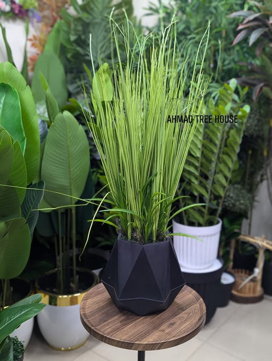 ATH - Fresh pair-ups in sleek black