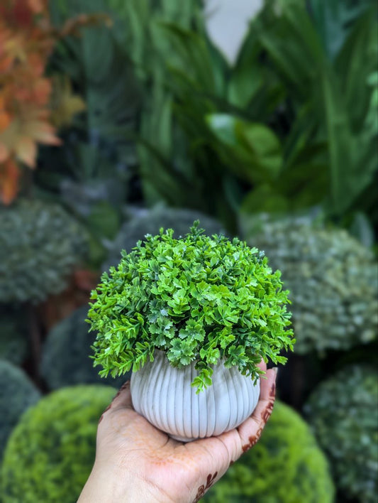 ATH – Miniature Artificial Bonsai Tree, Plastic Pot, Office Desk Greenery Decoration 204