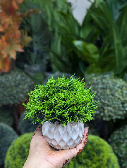ATH – Miniature Artificial Bonsai Tree, Plastic Pot, Office Desk Greenery Decoration 209