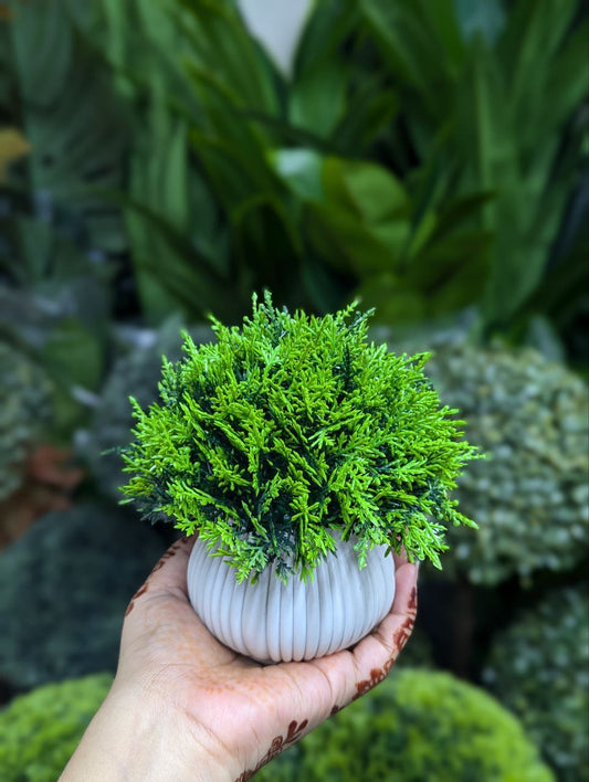 ATH – Miniature Artificial Bonsai Tree, Plastic Pot, Office Desk Greenery Decoration 207
