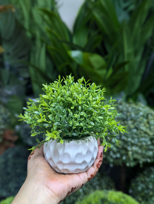 ATH – Miniature Artificial Bonsai Tree, Plastic Pot, Office Desk Greenery Decoration 208