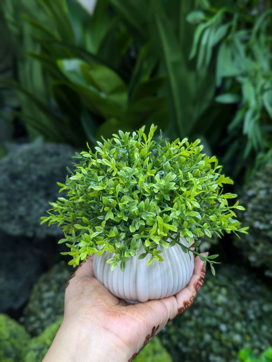 ATH – Miniature Artificial Bonsai Tree, Plastic Pot, Office Desk Greenery Decoration 202