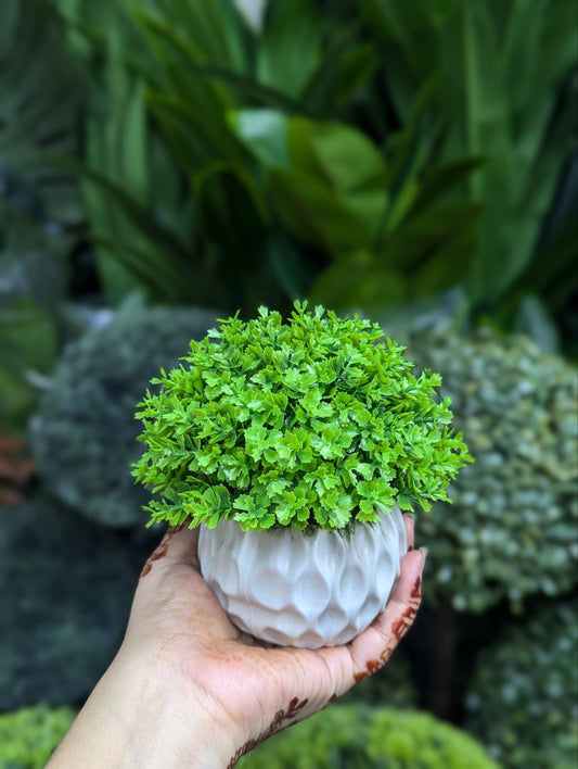 ATH – Miniature Artificial Bonsai Tree, Plastic Pot, Office Desk Greenery Decoration 211