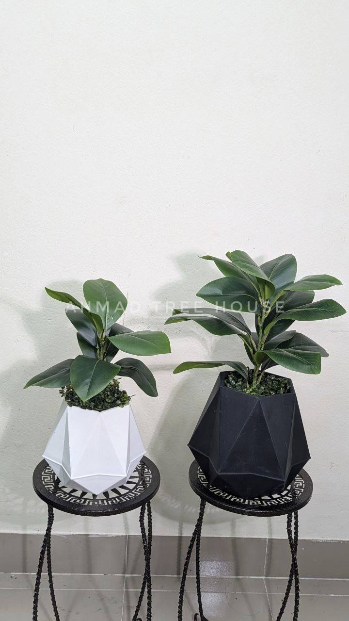 Geometric Duo Planter Set (2 Tubs + 2 Plants) at 2550 tk only